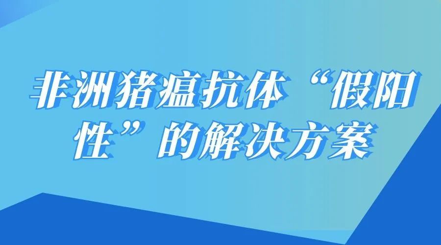 2025新澳精准正版免费大全与警惕虚假宣传-全面释义、实施策略解释和落实